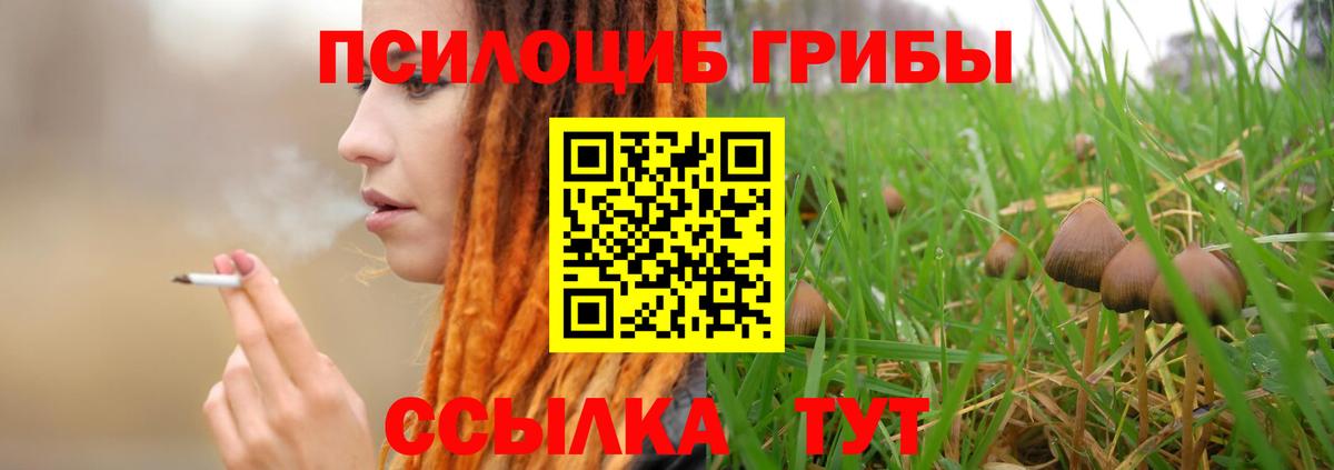 Псилоцибиновые грибы прущие грибы  Вход с VPN  Псилоцибиновые грибы Psilocybe  Асбест 