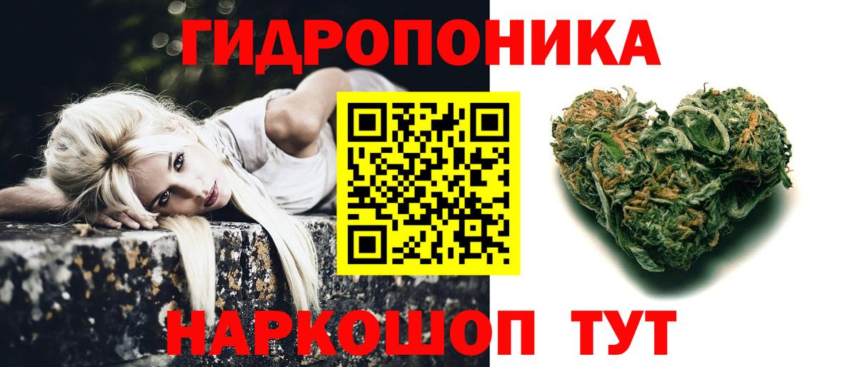 Конопля индика Асбест